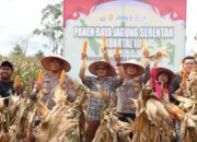 Polres Humbahas Dorong Swasembada Pangan Lewat Panen Raya Jagung Serentak Kuartal III Tahun 2025