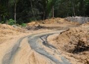 Ketika Rakyat Menilai, Kehadiran Lebih Lantang Dari Seribu Pernyataan