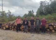 Polres Humbahas Selidiki Penebangan Kayu di Kawasan Hutan Lindung Diduga Libatkan Oknum Polisi.