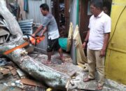 Dinas Sosial Berikan Bantuan Kepada Korban Rumah Tertimpa Pohon di Baktiraja