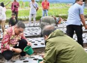 Bupati Humbang Hasundutan Bersama Kementerian Pertanian Tanam Bawang Putih di Food Estate Pollung