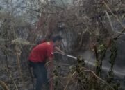 Petugas Damkar Padamkan Kebakaran Lahan di Desa Siponjot Kecamatan Lintongnihuta.