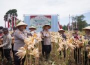 Polres Cimahi Perkuat Ketahanan Pangan Lewat Panen Raya Jagung Serentak