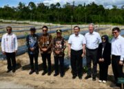 Luhut Gandeng Temasek, TSTH2 Humbang Hasundutan Disiapkan Jadi Pusat Riset Herbal Bertaraf Global