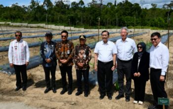 Luhut Gandeng Temasek, TSTH2 Humbang Hasundutan Disiapkan Jadi Pusat Riset Herbal Bertaraf Global