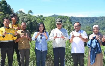 Kementerian Pertanian Survei CPCL Pakan Ternak di Humbahas