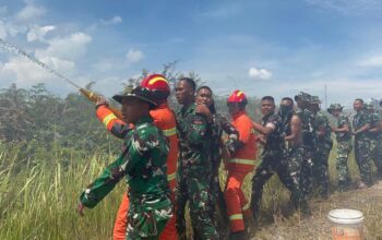 Pemkab Humbahas dan Yonif TP 955 HS Padamkan Kebakaran Lahan Warga di Simangaronsang