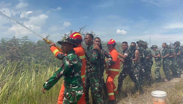 Pemkab Humbahas dan Yonif TP 955 HS Padamkan Kebakaran Lahan Warga di Simangaronsang