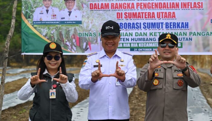 Pemkab Humbahas Galakkan Gerakan Menanam Cabai Merah, Dukung Ketahanan Pangan dan Kendalikan Inflasi